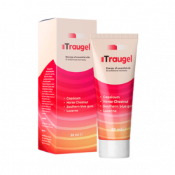 Traugel